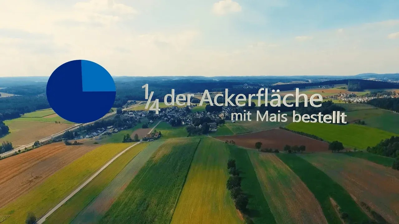 Thumbnail unter der Consentbenachrichtigung